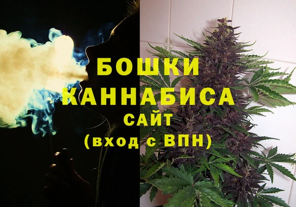 индика Богородицк